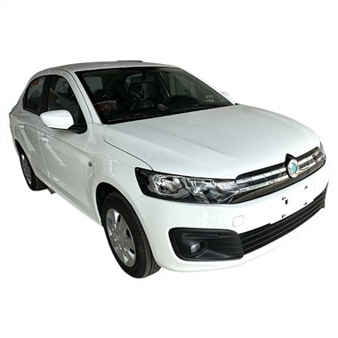 Dongfeng EV30 순수 전기 자동차