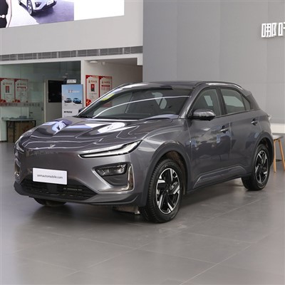 2024 Neta U MAX 스마트 전기 SUV